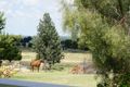 Property photo of 3014 Newell Highway Parkes NSW 2870