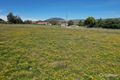 Property photo of 55 Sebastopol Hill Road Omeo VIC 3898