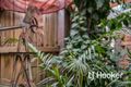 Property photo of 9 Carey Street Cranbourne North VIC 3977