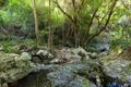 Property photo of 196 Pacey Road Upper Brookfield QLD 4069