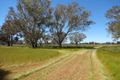 Property photo of Foster Road Boorhaman VIC 3678
