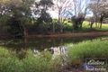 Property photo of 107 Adams Road Danbulla QLD 4872