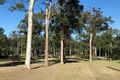 Property photo of 508-512 Quinzeh Creek Road Logan Village QLD 4207