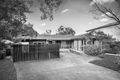 Property photo of 23 Model Farms Road Winston Hills NSW 2153
