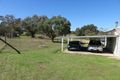 Property photo of 18 Forsythe Road Kojonup WA 6395