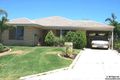Property photo of 16 Coppercups Retreat Mirrabooka WA 6061