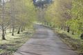 Property photo of 53 Lowes Road Chum Creek VIC 3777