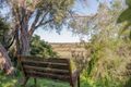 Property photo of 8 Bruce Road Silverleaves VIC 3922
