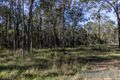 Property photo of 23 Gwandalan Close Brandy Hill NSW 2324