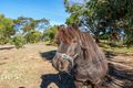 Property photo of 12 Malcolms Hut Road Richmond TAS 7025