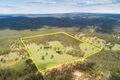 Property photo of 243 Forestry Road Ringwood QLD 4343