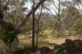 Property photo of 13 Range Crescent Laidley QLD 4341