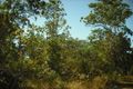 Property photo of 580 Namarada Drive Dundee Beach NT 0840