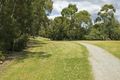 Property photo of 19 Boardman Close Box Hill South VIC 3128