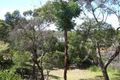 Property photo of 11 Ingram Road Anglesea VIC 3230