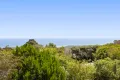 Property photo of 4 Jamieson Court Cape Schanck VIC 3939