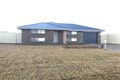 Property photo of 22 Zirilli Avenue Griffith NSW 2680