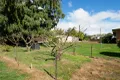 Property photo of 43 Caveside Road Mole Creek TAS 7304