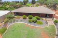 Property photo of 97 Murtho Road Paringa SA 5340