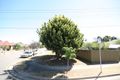 Property photo of 11 Comet Avenue Netley SA 5037