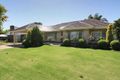 Property photo of 3 Windermere Avenue Novar Gardens SA 5040