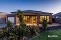 Property photo of 37 Wild Scotchman Way Cranbourne East VIC 3977