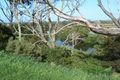 Property photo of 56 Gambier Street Apollo Bay VIC 3233