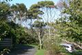 Property photo of 56 Gambier Street Apollo Bay VIC 3233