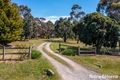Property photo of 11 Stuart Court Riddells Creek VIC 3431