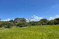 Property photo of 335 Grasstree Beach Road Grasstree Beach QLD 4740