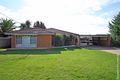 Property photo of 1 Grevillea Crescent Lake Albert NSW 2650