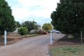Property photo of 84 Mellis Street Red Cliffs VIC 3496