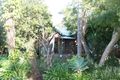 Property photo of 10 South Tacoma Road Tacoma South NSW 2259