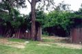 Property photo of 19 Peter Crescent Greenacre NSW 2190