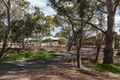 Property photo of 2 Eucalypt Parade St Agnes SA 5097