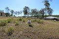 Property photo of 5 Eucalypt Court Apple Tree Creek QLD 4660
