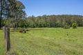 Property photo of 336 Cedar Creek Road Belli Park QLD 4562