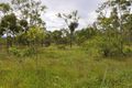 Property photo of 558 Bilwon Road Biboohra QLD 4880