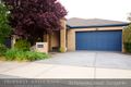 Property photo of 33 Petersilka Street Gungahlin ACT 2912