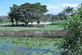 Property photo of 46/73-101 Darlington Drive Banora Point NSW 2486