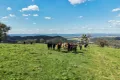 Property photo of 350 Ingles Road Neurea NSW 2820