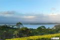 Property photo of 9 Old Boar Pocket Road Barrine QLD 4872