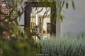 Property photo of 3 Stream Street Mount Duneed VIC 3217