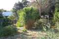 Property photo of 225 St Helens Point Road Stieglitz TAS 7216