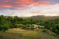 Property photo of 54 Gallet Road Little Mulgrave QLD 4865