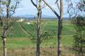 Property photo of 328 Leichhardt Road Mirani QLD 4754