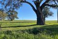 Property photo of LOT 500 Cemetery Road Taunton SA 5235