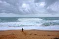Property photo of 459 Dundas Street St Andrews Beach VIC 3941