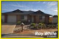 Property photo of 6 McLaren Court Munno Para West SA 5115