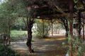 Property photo of 3 Henning Place Kambah ACT 2902